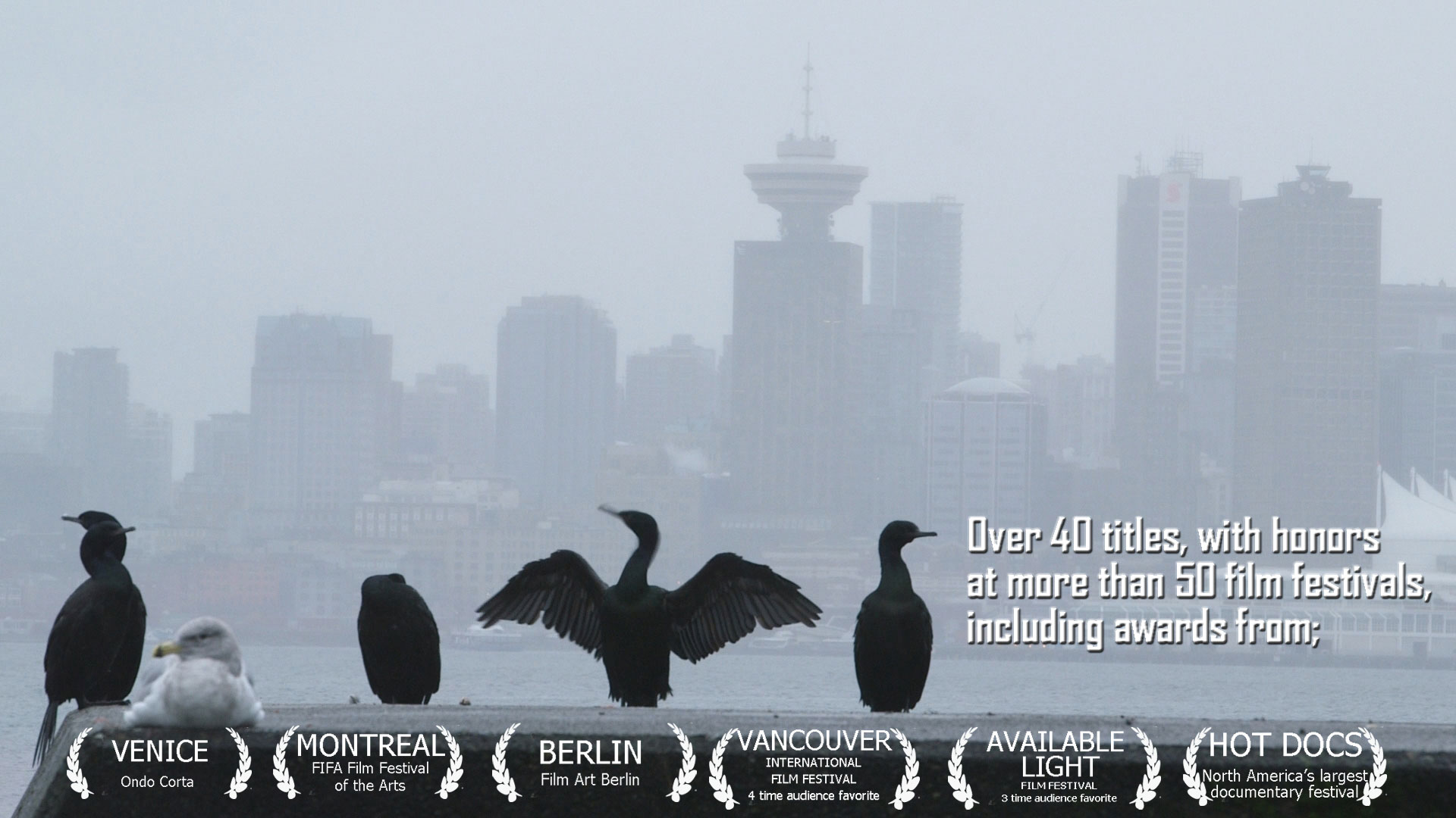 birds focus in front of hazy Vancouver backdrop