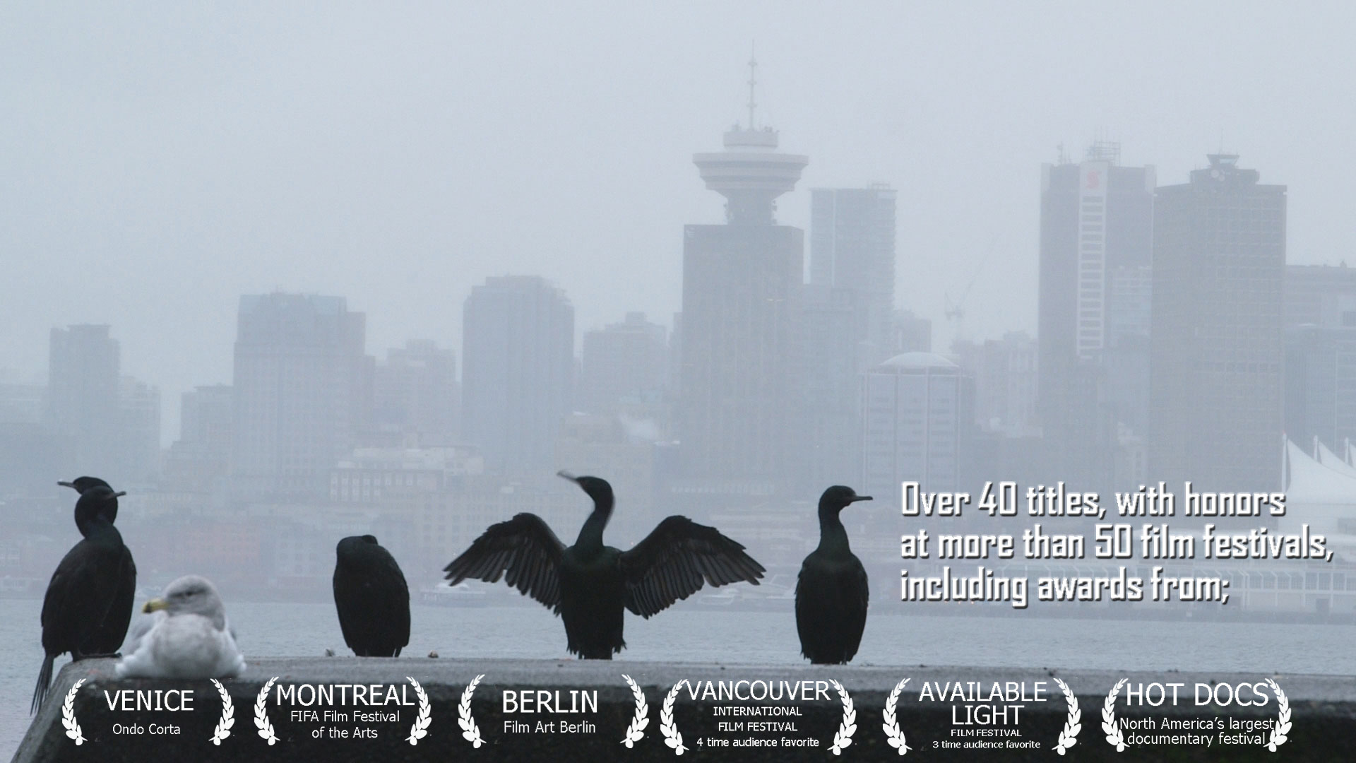 Over 40 titles, with honors at more than 50 film festivals, including awards birds focus in front of hazy Vancouver backdrop